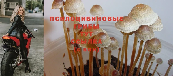 a pvp Алексин